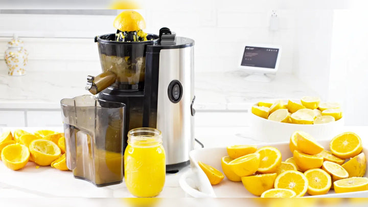 Multifunctional Hands Free Self Feeding Batch Juicer With Heavy Duty Motor - Buchymix UK